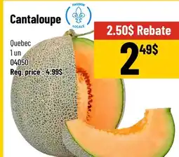 Mayrand Cantaloupe offer