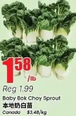 Btrust Supermarket Baby Bok Choy Sprout offer