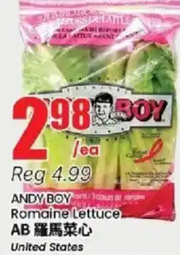 Btrust Supermarket Andy boy romaine lettuce offer