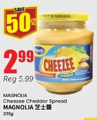 MAGNOLIA Cheezee Cheddar Spread