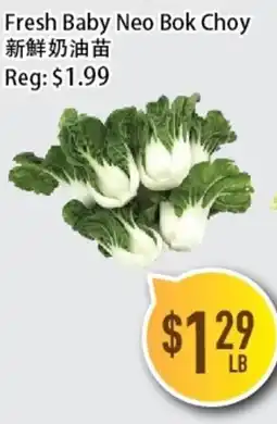 Full Fresh Supermarket Fresh Baby Neo Bok Choy offer