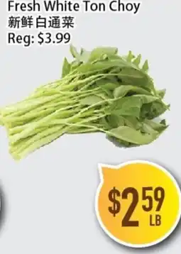 Full Fresh Supermarket Fresh White Ton Choy offer