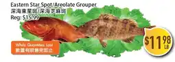 Full Fresh Supermarket Eastern Star Spot/Areolate Grouper. offer