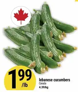 Marché Adonis Lebanese cucumbers offer