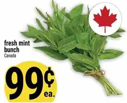 Marché Adonis Fresh mint bunch offer