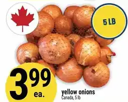 Marché Adonis Yellow Onions offer