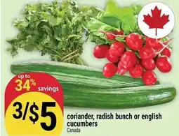 Marché Adonis Coriander, radish bunch or english cucumbers offer