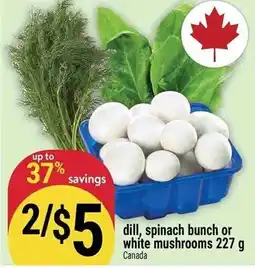 Marché Adonis Dill, spinach bunch or white mushrooms offer