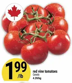 Marché Adonis Red vine tomatoes offer