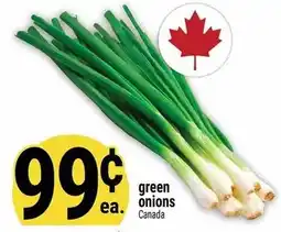 Marché Adonis Green onions offer