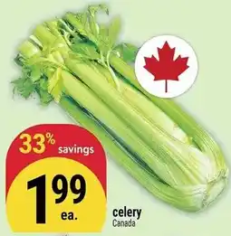 Marché Adonis Celery offer