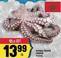 Marché Adonis Octopus thawed cleaned offer