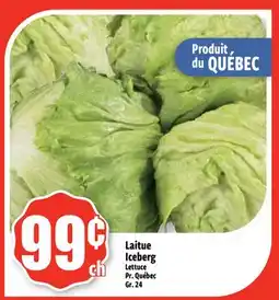 Bonanza Laitue Iceberg offer