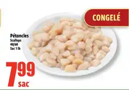 Bonanza Scallops offer