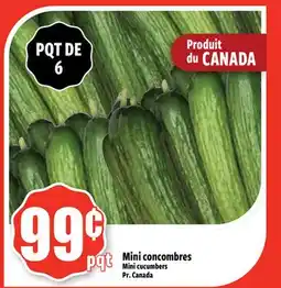 Bonanza Mini concombres offer