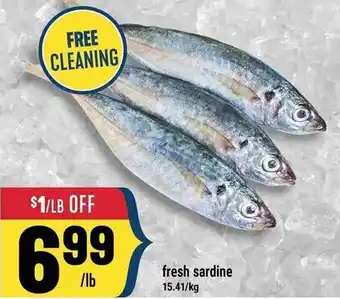 Marché Adonis Fresh sardine offer