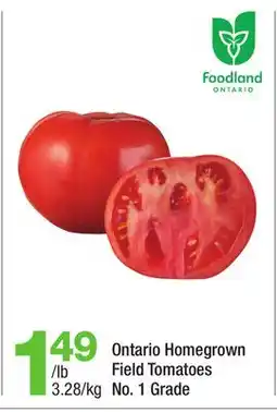 Highland Farms Ontario Homegrown Field Tomatoes offer