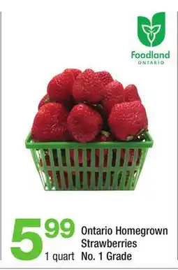 Highland Farms Ontario Homegrown Strawberries offer