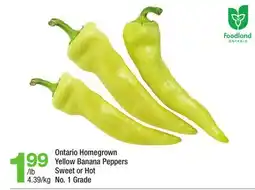 Highland Farms Ontario Homegrown Yellow Banana Peppers offer