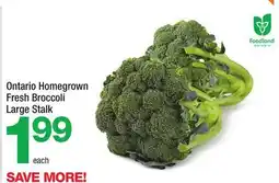 Highland Farms Ontario Homegrown Fresh Broccoli Large Stalk offer