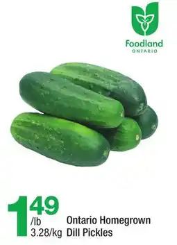 Highland Farms Ontario Homegrown Dill Pickles offer