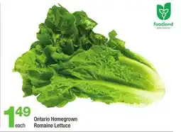 Highland Farms Ontario Homegrown Romaine Lettuce offer