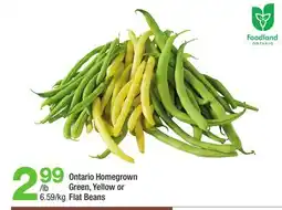 Highland Farms Ontario Homegrown Green, Yellow or Flat Beans offer