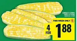 Food Basics SWEET CORN offer