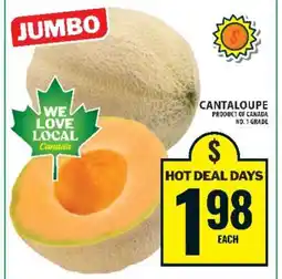 Food Basics JUMBO CANTALOUPE offer
