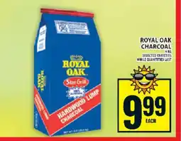Food Basics Royal Oak Charcoal offer