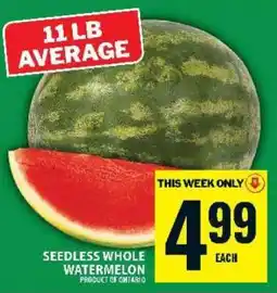 Food Basics Seedless Whole Watermelon offer
