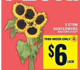 Food Basics 5 Stem Sunflowers offer