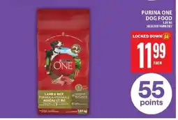 Food Basics PURINA ONE DOG FOOD offer