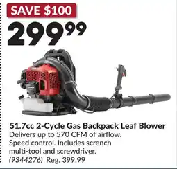 Princess Auto 51.7cc 2-Cycle Gas Backpack Leaf Blower offer