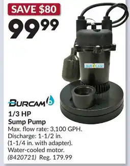 Princess Auto 1/3 HP Sump Pump offer