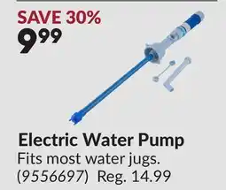 Princess Auto Electric Water Pump offer