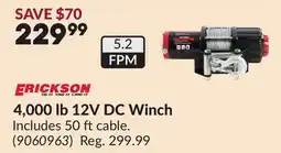 Princess Auto 4,000 lb 12V DC Winch offer