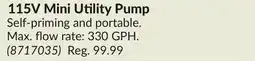 Princess Auto 115V Mini Utility Pump offer