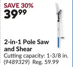 Princess Auto 2-in-1 Pole Saw and Shear offer