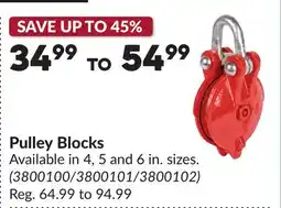Princess Auto Pulley Blocks offer