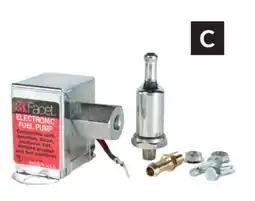 Princess Auto 12V Fuel Pumps offer