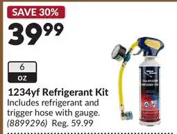 Princess Auto 1234yf Refrigerant Kit offer