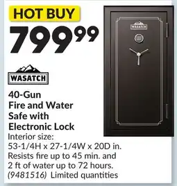 Princess Auto 40-Gun Fire and Water Safe with Electronic Lock offer