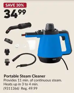 Princess Auto Portable Steam Cleaner offer