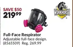 Princess Auto Full-Face Respirator offer