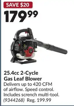Princess Auto 25.4cc 2-Cycle Gas Leaf Blower offer