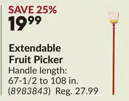 Princess Auto Extendable Fruit Picker offer