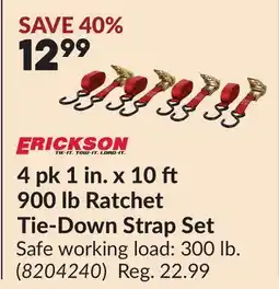 Princess Auto 4 pk 1 in. x 10 ft 900 lb Ratchet Tie-Down Strap Set offer