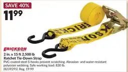 Princess Auto 2 in. x 15 ft2,500 lb Ratchet Tie-Down Strap offer