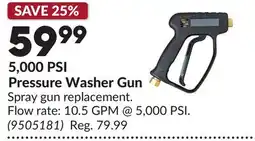 Princess Auto 5,000 PSI Pressure Washer Gun offer